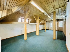 Unirii - Mitropolie vila D+P+1+M 500 mp utili - imagine 13