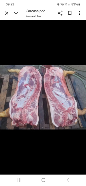 carcasa porc  - imagine 2