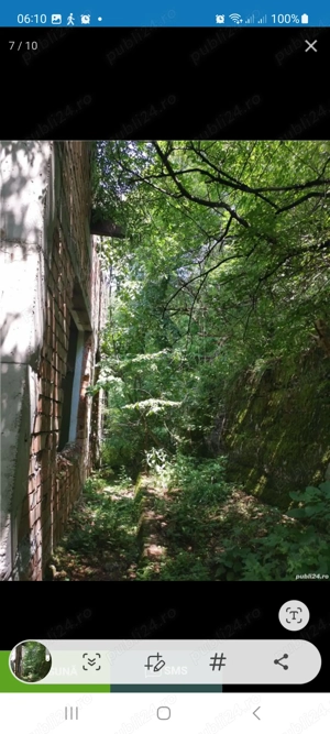 Vând pădure Moneasa  - imagine 5