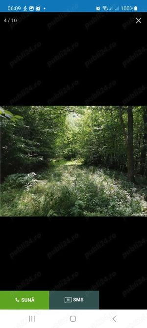 Vând pădure Moneasa  - imagine 7