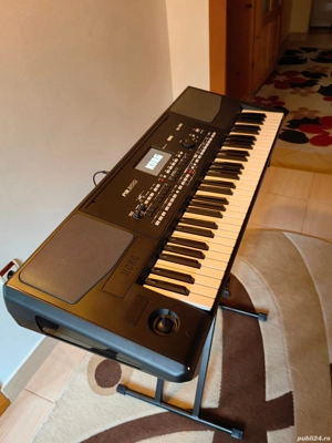 orga profesionala korg pa 300