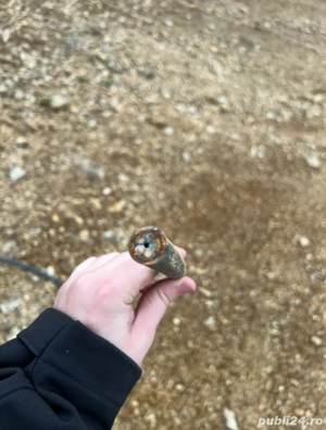 Teren Beliș   Dealul Botii, priveliște superbă, utilități, 5G fu - imagine 5