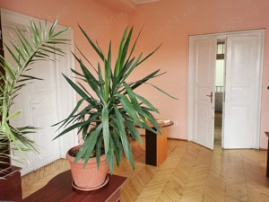 Spatiu ultracentral de birouri Str. Jean Calvin - imagine 3