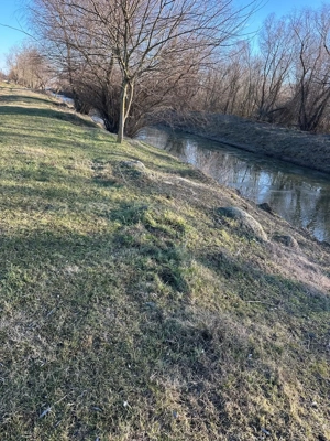 Teren intravilan in Delta -loc BALTENII DE JOS - imagine 13