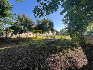 Casa pe parter cu 1010 mp teren, magazie, beci, strada Bucegi, Bacau - imagine 12