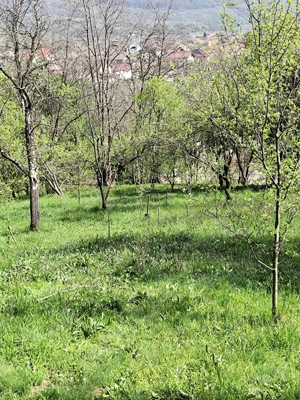 teren de vanzare la un km de centrul statiunii Calimanesti - imagine 6