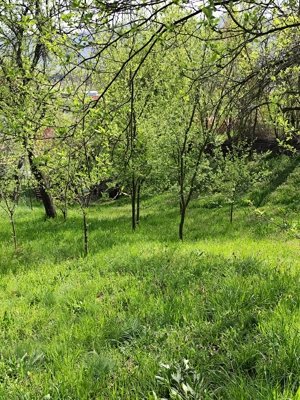 teren de vanzare la un km de centrul statiunii Calimanesti - imagine 4