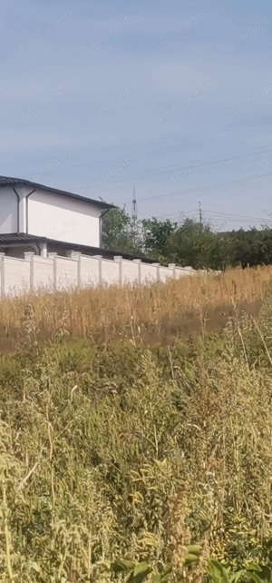 Teren intravilan 3750mp deschidere 36,87 Dolj Craiova  - imagine 8