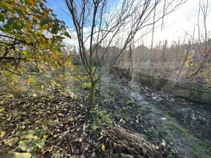 Casuta individuala cu teren generos