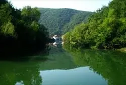 Vand urgent padure pe malul Lacului Cincis, zona de agrement la 10 km de Hunedoara