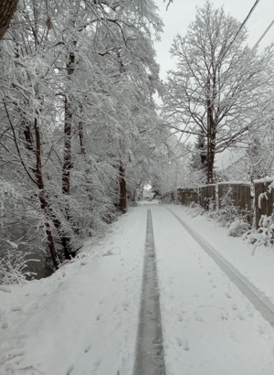 Cabană la munte - imagine 7