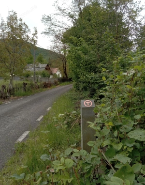 Cabană la munte - imagine 9