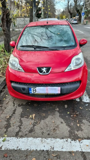 Vind  autotirism inmariculat