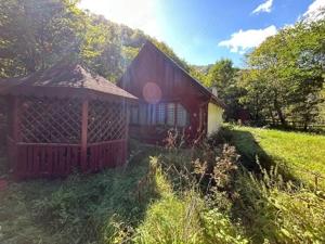 Cabana de vanzare, Valea Manastirii - Ramet