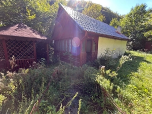 Cabana de vanzare, Valea Manastirii - Ramet