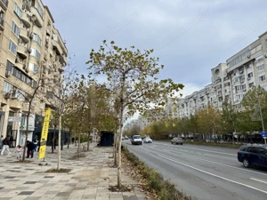 Spatiu Comercial renovat - Bulevardul Decebal  - imagine 14