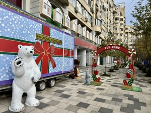 Spatiu Comercial renovat - Bulevardul Decebal  - imagine 13