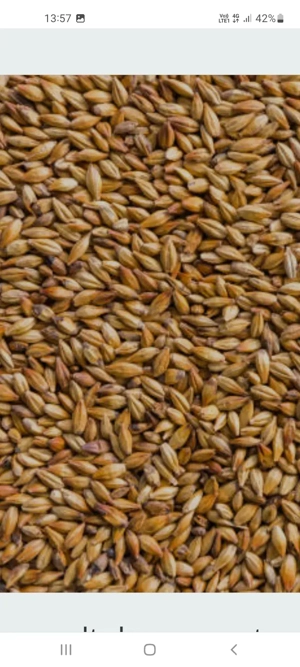 vând cereale ambalate la sac