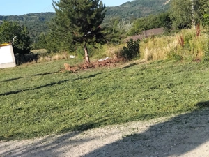 Teren intravilan bujoreni