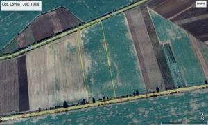 Teren de vânzare în localitatea Lovrin, județ Timiș , suprafața 50000 mp  - imagine 8