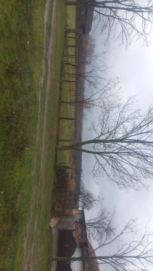 Vând casă  - imagine 2