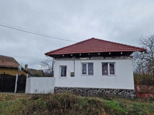 Spre vanzare 2 case in localitatea Alios timisoara  - imagine 5