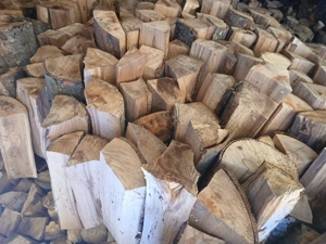 Vand lemne verzi din padule de fag