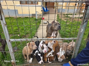 cautam casuta noua  - imagine 5