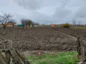 Casa de vanzare in Cenad judetul Timis - imagine 3