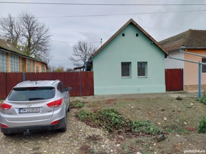 Casa de vanzare in Cenad judetul Timis - imagine 2