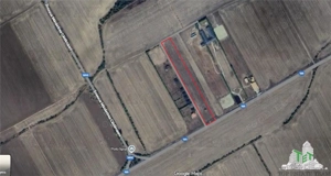 Super teren intravilan (Lot 1) la  DJ 101, loc. Gruiu IF, ideal pentru dezvoltatori imobiliari pentr