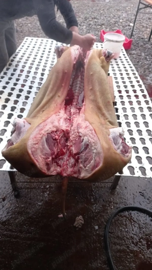 Carcasa de porc - imagine 2