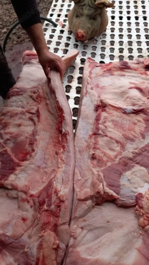 Carcasa de porc - imagine 5