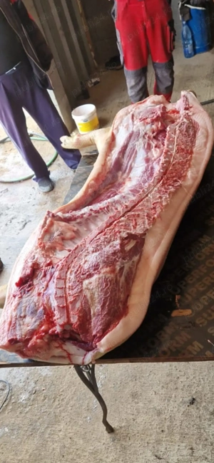 Carcasa de porc - imagine 4