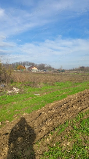 Teren 1.437mp intravilan la preț de 2.700 euro - imagine 2