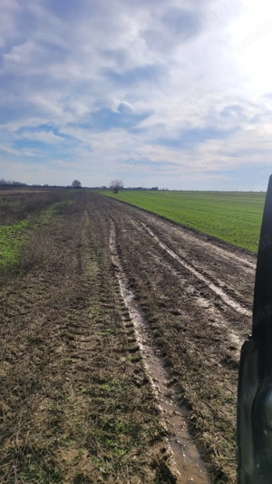 Teren 1.437mp intravilan la preț de 2.700 euro - imagine 3