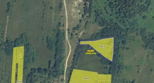 Teren extravilan de vânzare – Stănești, 3.861 mp, livadă de cireși - imagine 7