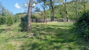 Teren extravilan de vânzare – Stănești, 3.861 mp, livadă de cireși - imagine 12