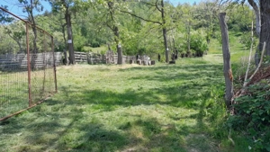 Teren extravilan de vânzare – Stănești, 3.861 mp, livadă de cireși - imagine 13