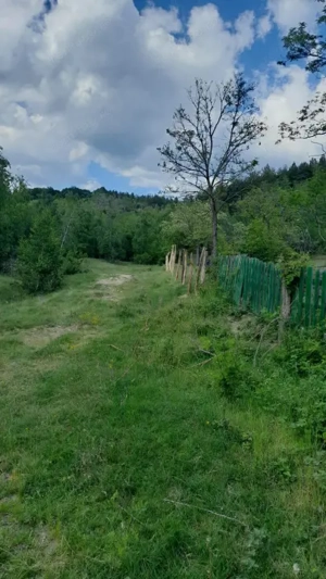 Teren extravilan de vânzare – Stănești, 3.861 mp, livadă de cireși - imagine 9