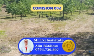 Teren extravilan de vânzare – Stănești, 3.861 mp, livadă de cireși