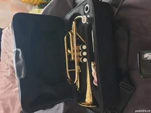 instrumete muzicale tronpata sonata