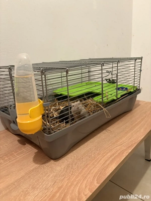 Vand Cusca cu Pereche de Gerbili