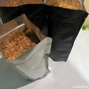 Oferte speciale!De la 80 lei kg