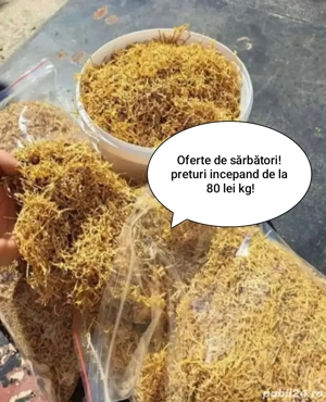 tutun firicel bulgăresc 