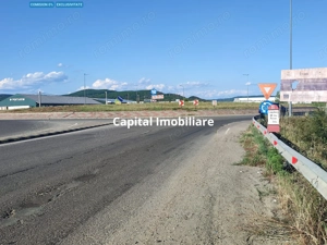 OFERTĂ PREMIUM – Teren intravilan 6.000 mp, Micești (Arges), pe DN 73