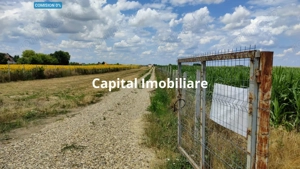 Teren agricol 9100 mp - 45.500€
