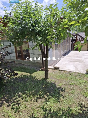 Casă 3 dormitoare la rosu Drajna