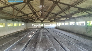 Teren 3.400 mp + 2 hale – Spațiu ideal pentru afacerea ta