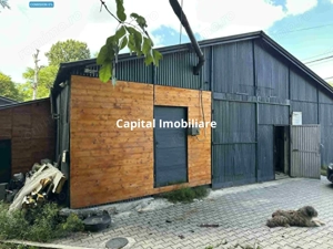 Hale de inchiriat pe drumul Lupacului